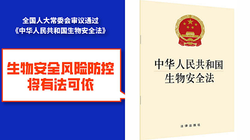 210308经营养殖“竹虫”“东亚飞蝗”不可取! (5).jpg