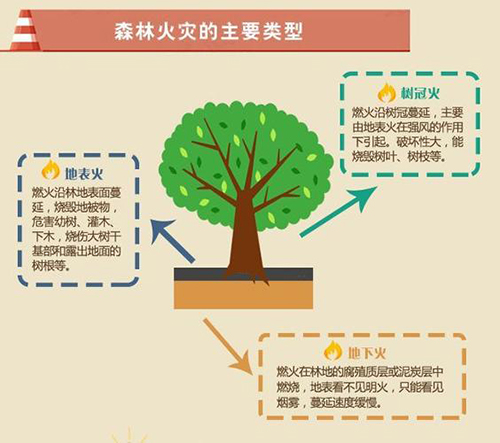 220120这些森林防火常识,你GET到了么? (3).jpg