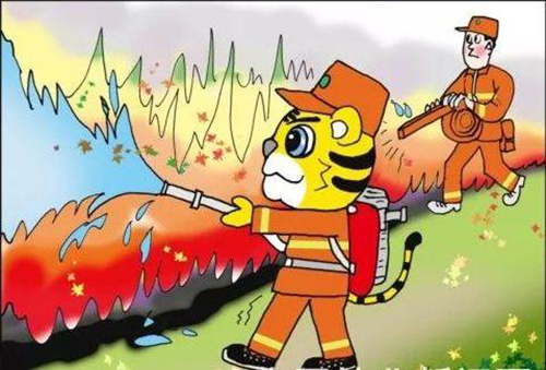 220120这些森林防火常识,你GET到了么? (4).jpg