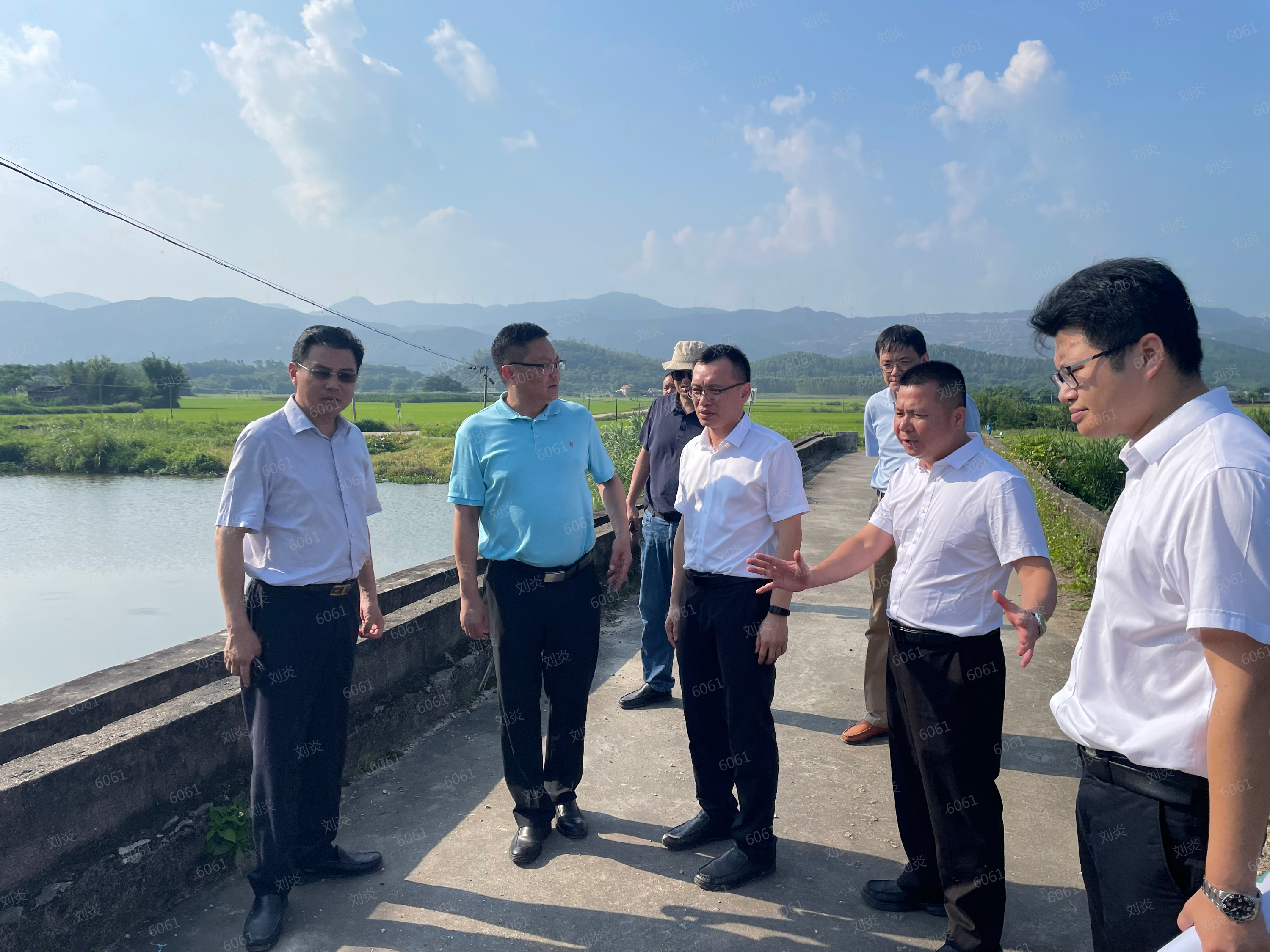 图3 督导组调研台山市石美桥.png