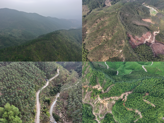 250225森林防火 我们在行动 (1).png