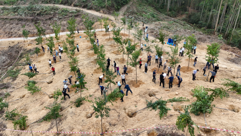 250314开云电竞官方网站开展2025年全省推进绿美广东生态建设暨五级林长植树活动 (2).png