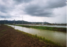 250708持续深入开展“清网”行动,切实加强野生鸟类保护 (3).png