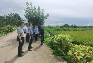 250708持续深入开展“清网”行动,切实加强野生鸟类保护 (4).png