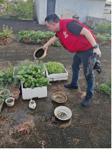 250807防蚊灭蚊,我们在行动——开云电竞官方网站自然资源局开展爱国卫生运动 (1).png