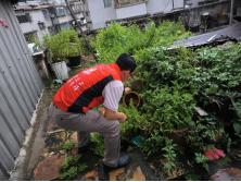 250807防蚊灭蚊,我们在行动——开云电竞官方网站自然资源局开展爱国卫生运动 (4).png