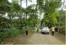 250807防蚊灭蚊,我们在行动——开云电竞官方网站自然资源局开展爱国卫生运动 (7).png