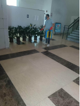 250807防蚊灭蚊,我们在行动——开云电竞官方网站自然资源局开展爱国卫生运动 (10).png