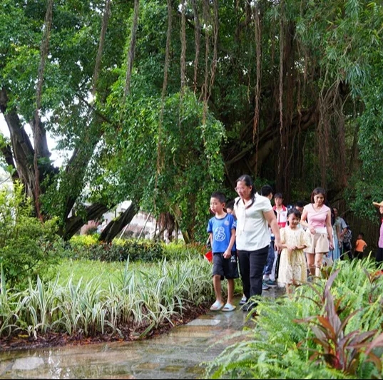 250821开云电竞官方网站自然资源局举办 “古树公园探秘行动” 聚焦绿色古董守护与科普 (17).jpg