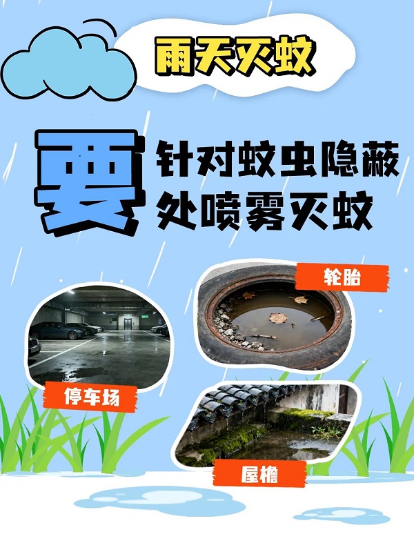 雨天灭蚊4.jpg