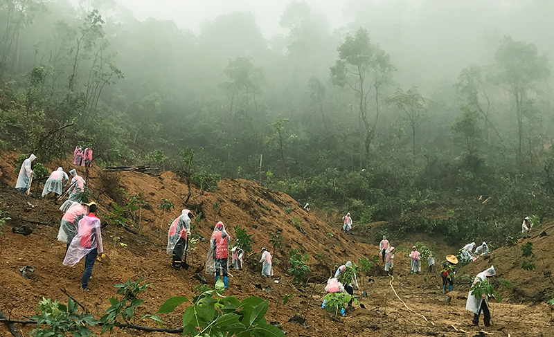 210429﻿开云电竞官方网站自然资源局开展庆祝建党100周年义务植树活动 (4).jpg
