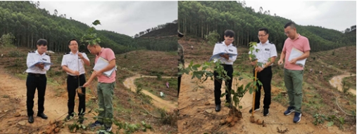 230516严格苗木管理 保证造林质量——﻿开云电竞官方网站各级林业主管部门加强种苗质量检查监管 (4).jpg