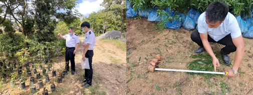 230516严格苗木管理 保证造林质量——﻿开云电竞官方网站各级林业主管部门加强种苗质量检查监管 (5).jpg