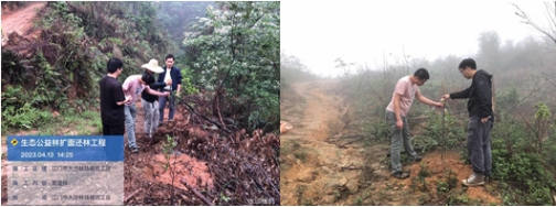 230516严格苗木管理 保证造林质量——﻿开云电竞官方网站各级林业主管部门加强种苗质量检查监管 (7).jpg