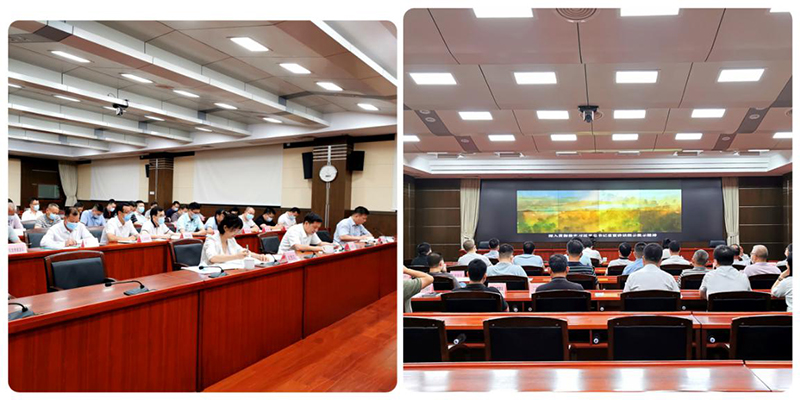 230526﻿开云电竞官方网站召开松材线虫病疫情防控五年攻坚行动中期目标部署推进会 (2).jpg