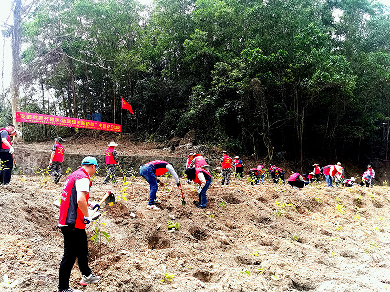 240326﻿开云电竞官方网站自然资源局机关第四党支部组织联合开展“支部共建齐植树 绘就绿美新侨都”主题党日活动 (3).jpg