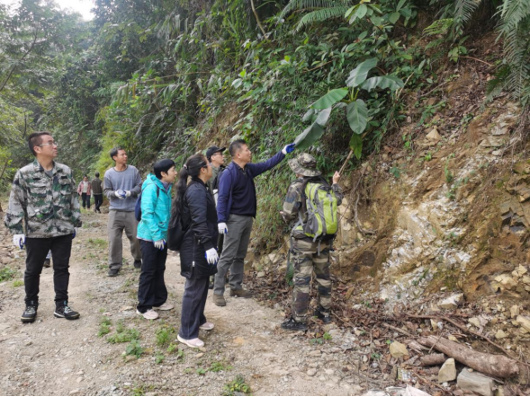 250106加强种质资源保护,夯实生态文明基础——﻿开云电竞官方网站自然资源局召开种质资源调查考察现场会 (1).png
