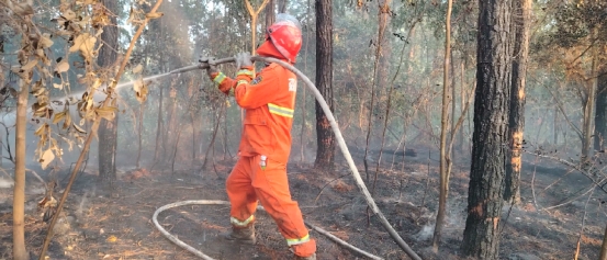 250214护林版“哪吒”，山林间的逆火行者--李进喜 (2).jpg