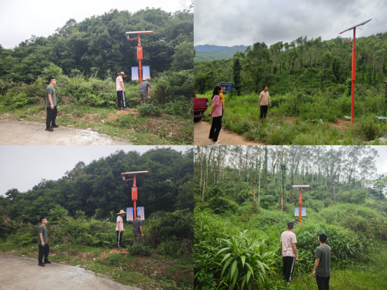 250225森林防火  我们在行动 (2).png