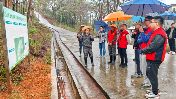 250310不负春光 共建绿美江门 (2).png