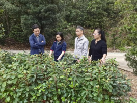 250314﻿开云电竞官方网站举办乡村绿化技术培训班暨乡村绿化“六个一”专项行动部署会 (5).png