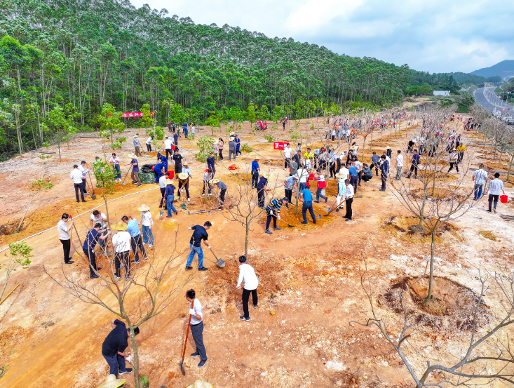 250314﻿开云电竞官方网站开展2025年全省推进绿美广东生态建设暨五级林长植树活动 (4).png